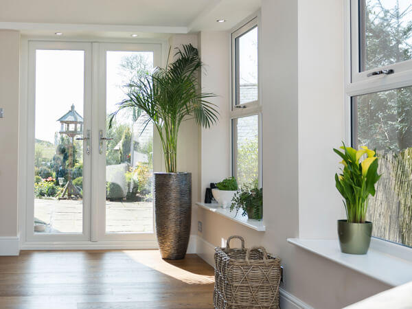 Conservatory Featuring Plants